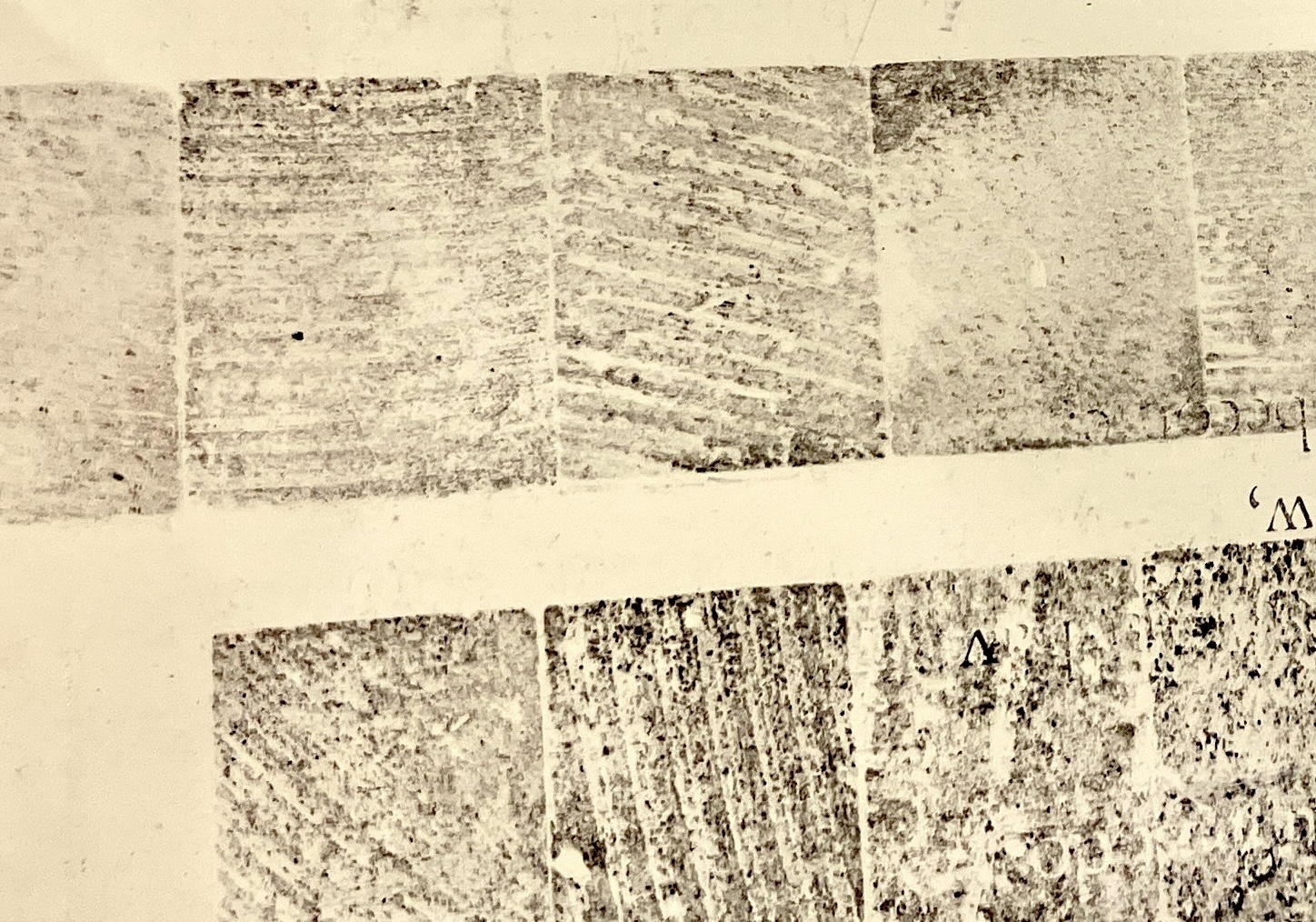 Type backs close-up 2